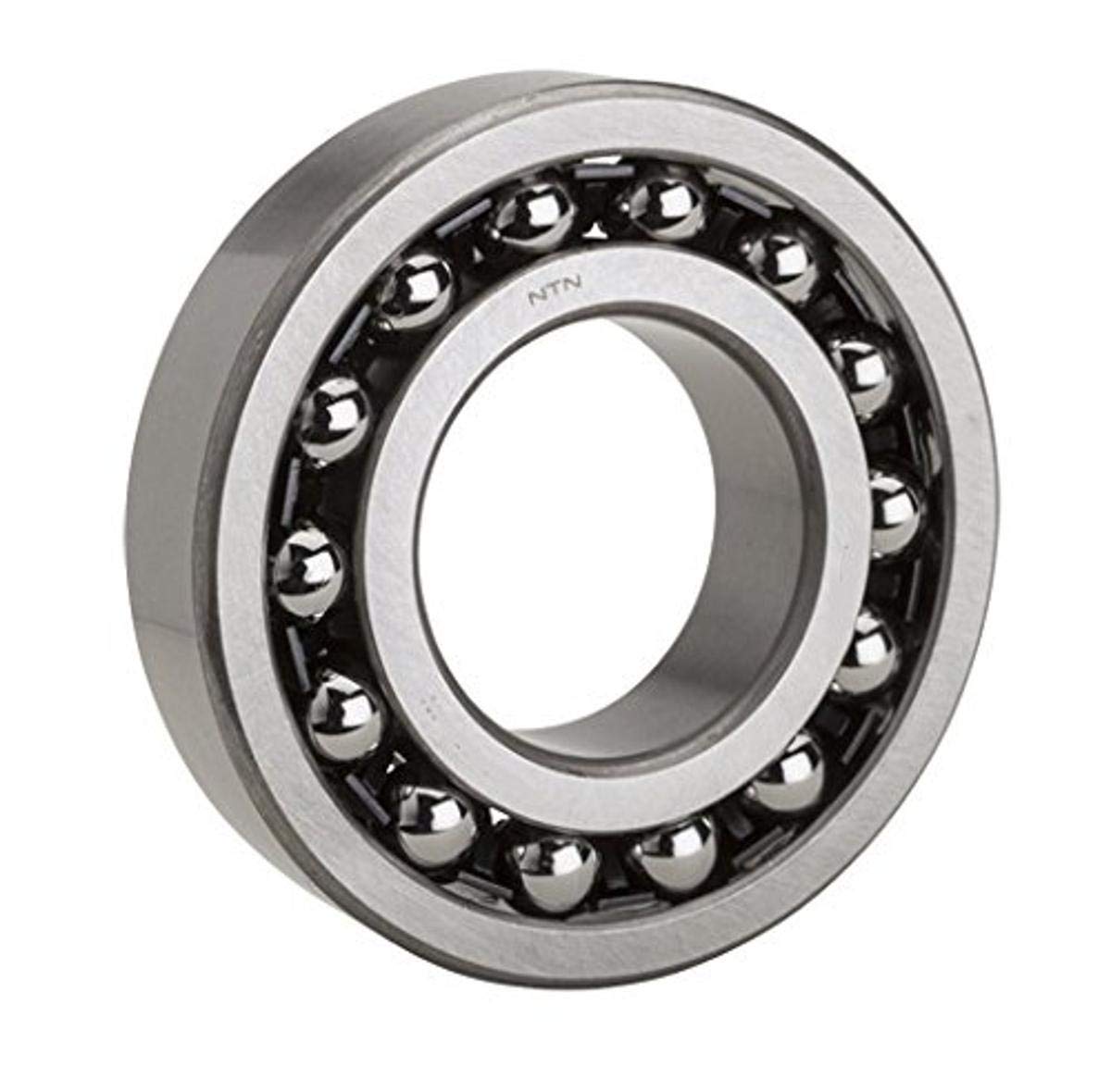 Picture for category Ball Bearing